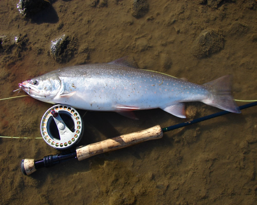 Kobuk River